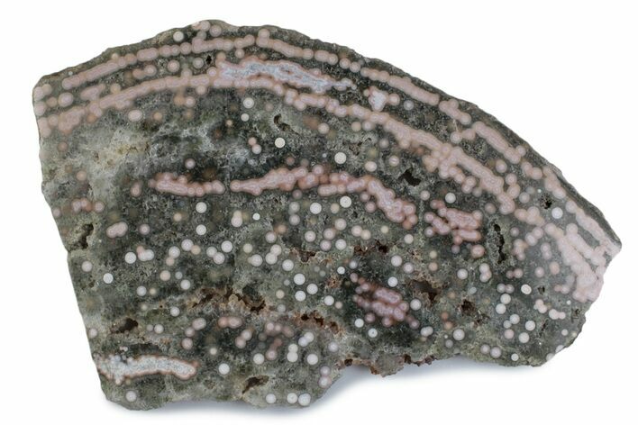 Polished Orbicular Ocean Jasper Slab - Madagascar #379341